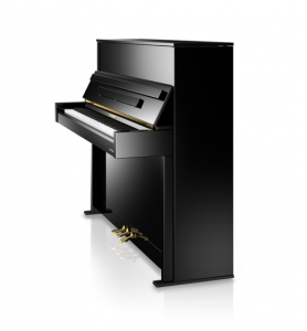 Photo W. Hoffmann Vision V4